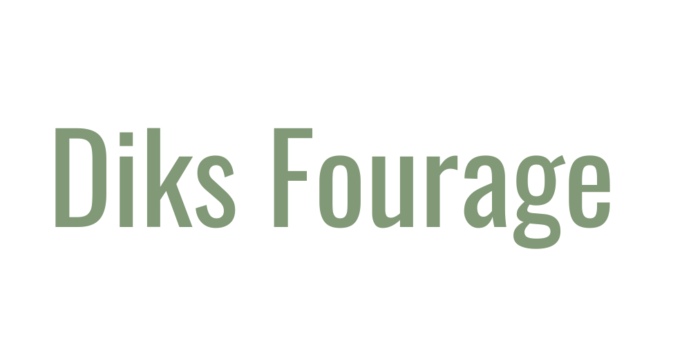 Diks Fourage