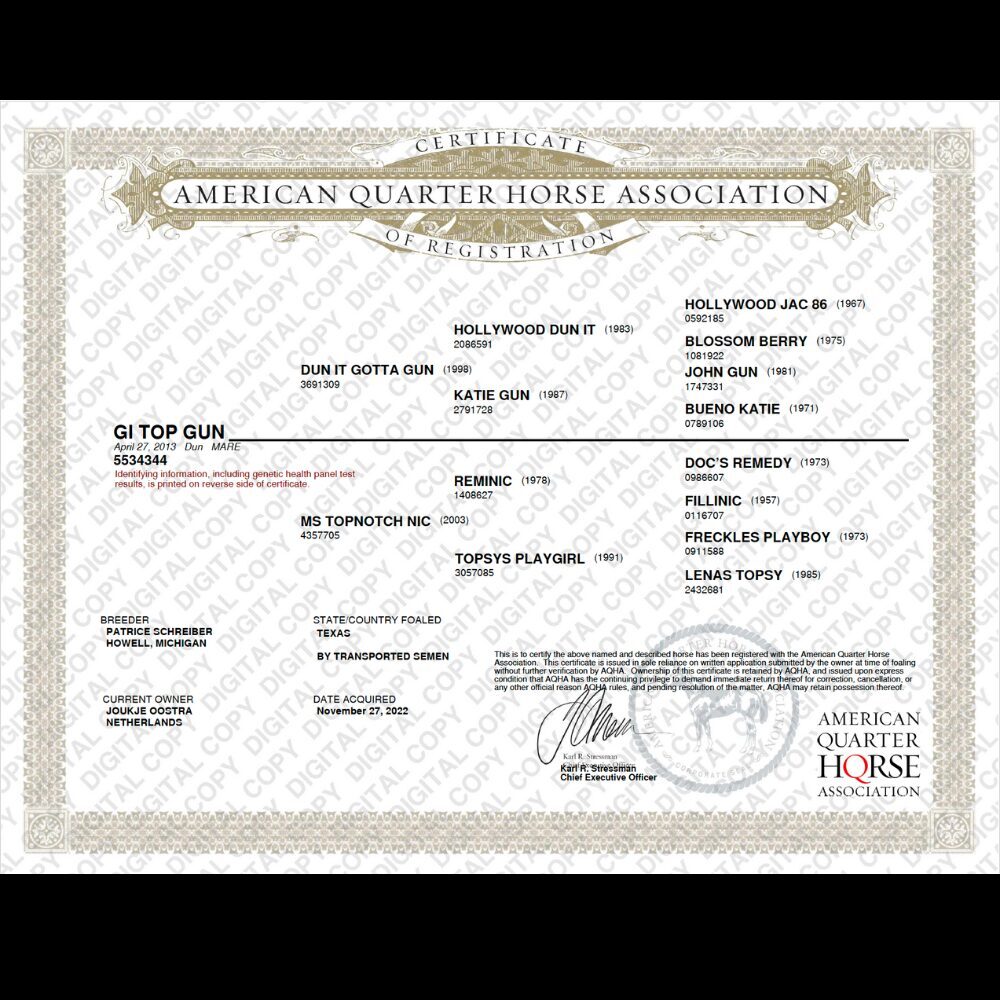 Pedigree Certificate Quarterhorse association