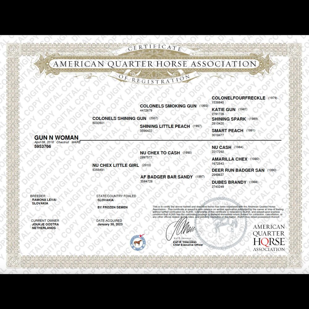 Certificate Pedigree Quarterhorse Association