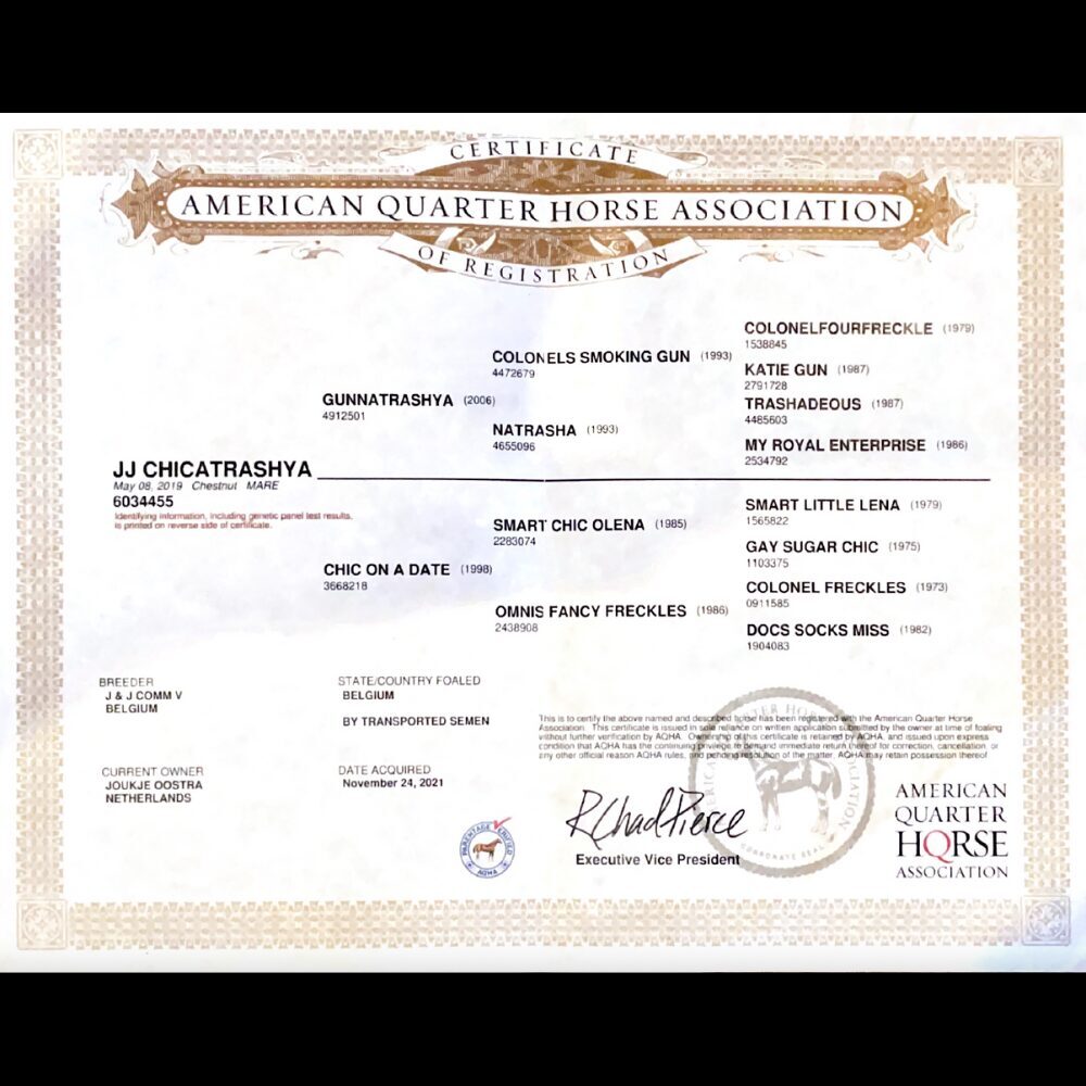 Certificate Pedigree Quarterhorse Association