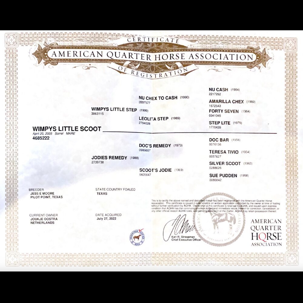 Certificate Pedigree Quarterhorse Association