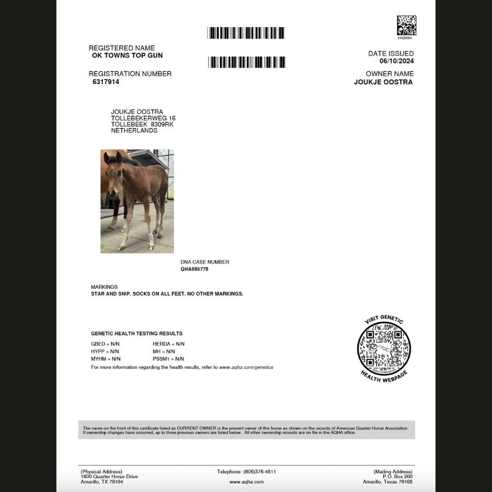 Certificate Pedigree Quarterhorse Association