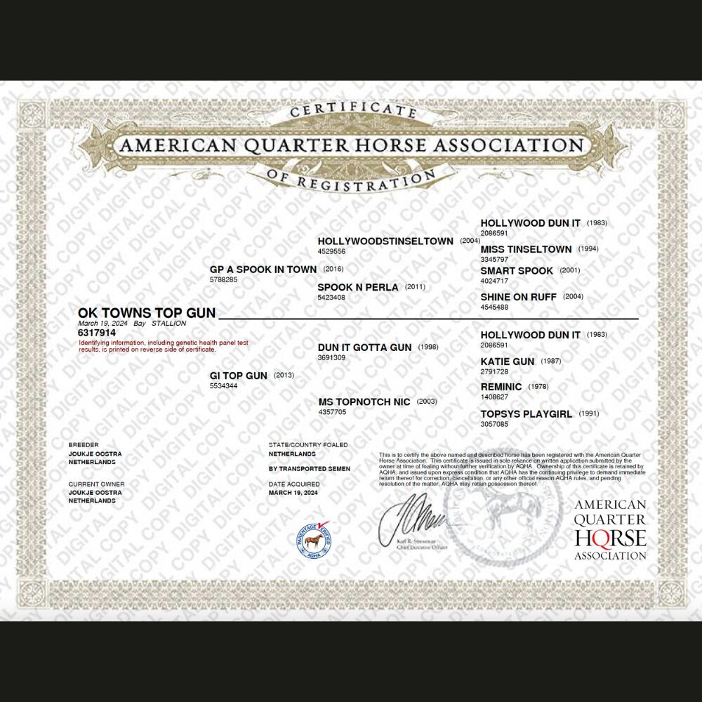 Certificate Pedigree Quarterhorse Association