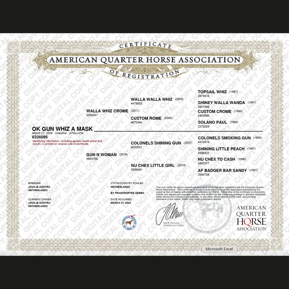 Certificate Pedigree Quarterhorse Association