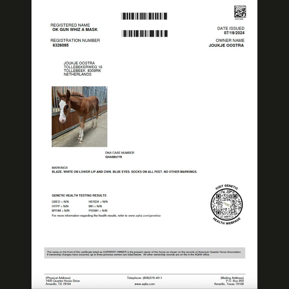 Certificate Pedigree Quarterhorse Association