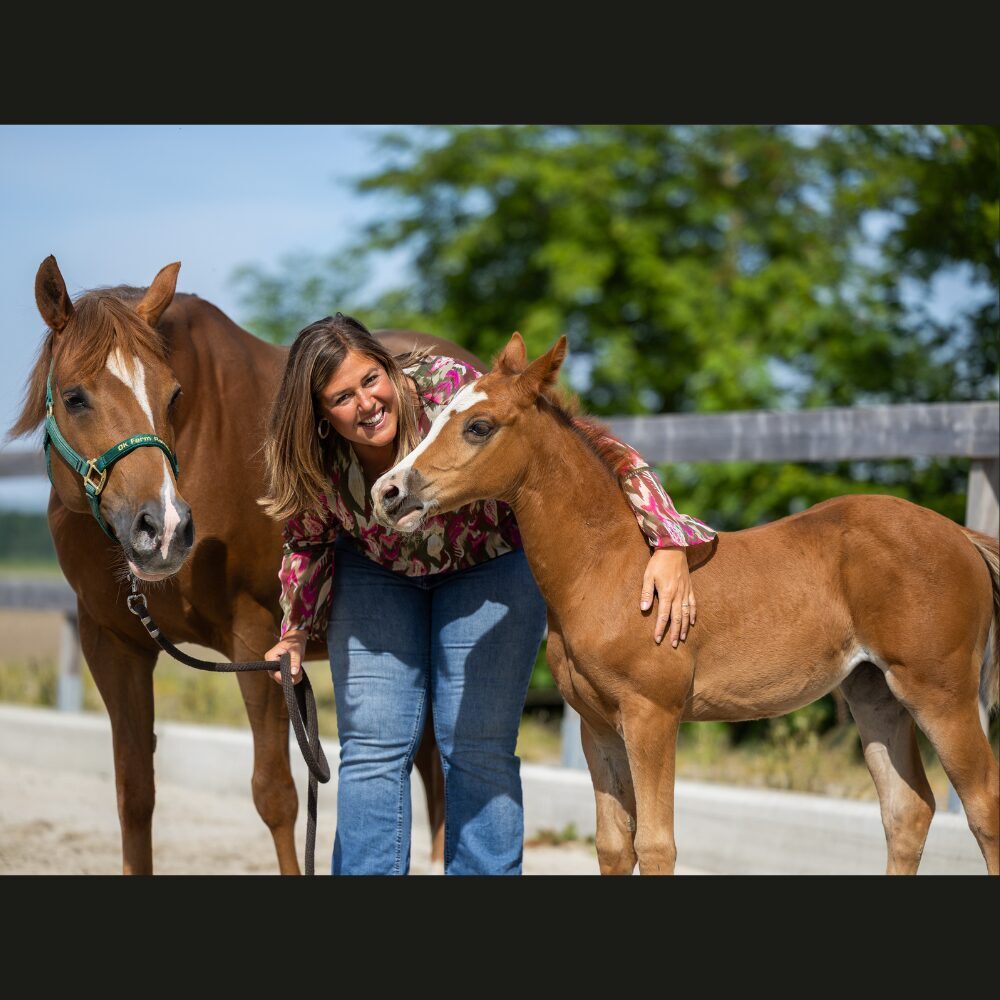 Quarterhorse veulen